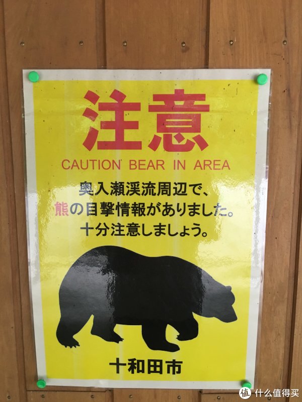 人均八千,从迪士尼到青之森,领略不一样的岛国乡野风光——2018初夏东