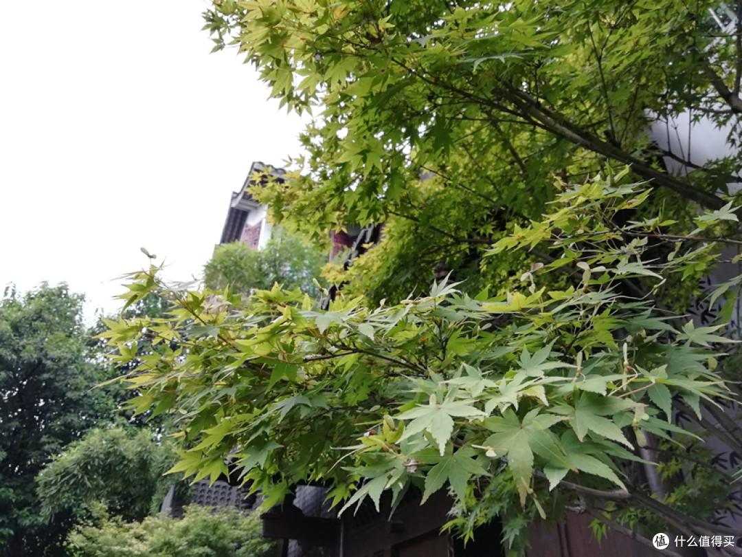 千元搞定全屏双摄工作机—荣耀9i