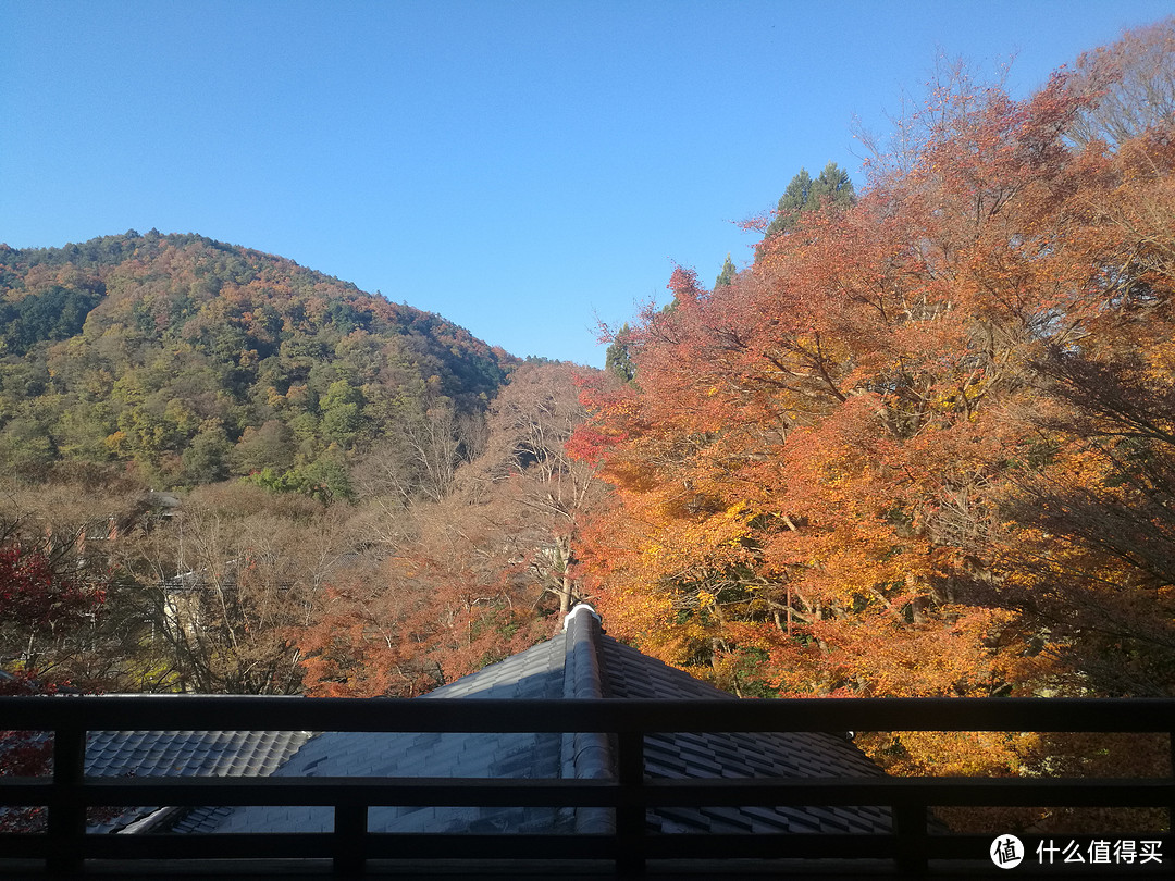 记录我的日本红叶之旅