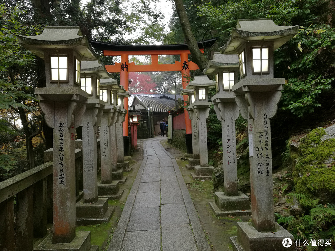 记录我的日本红叶之旅