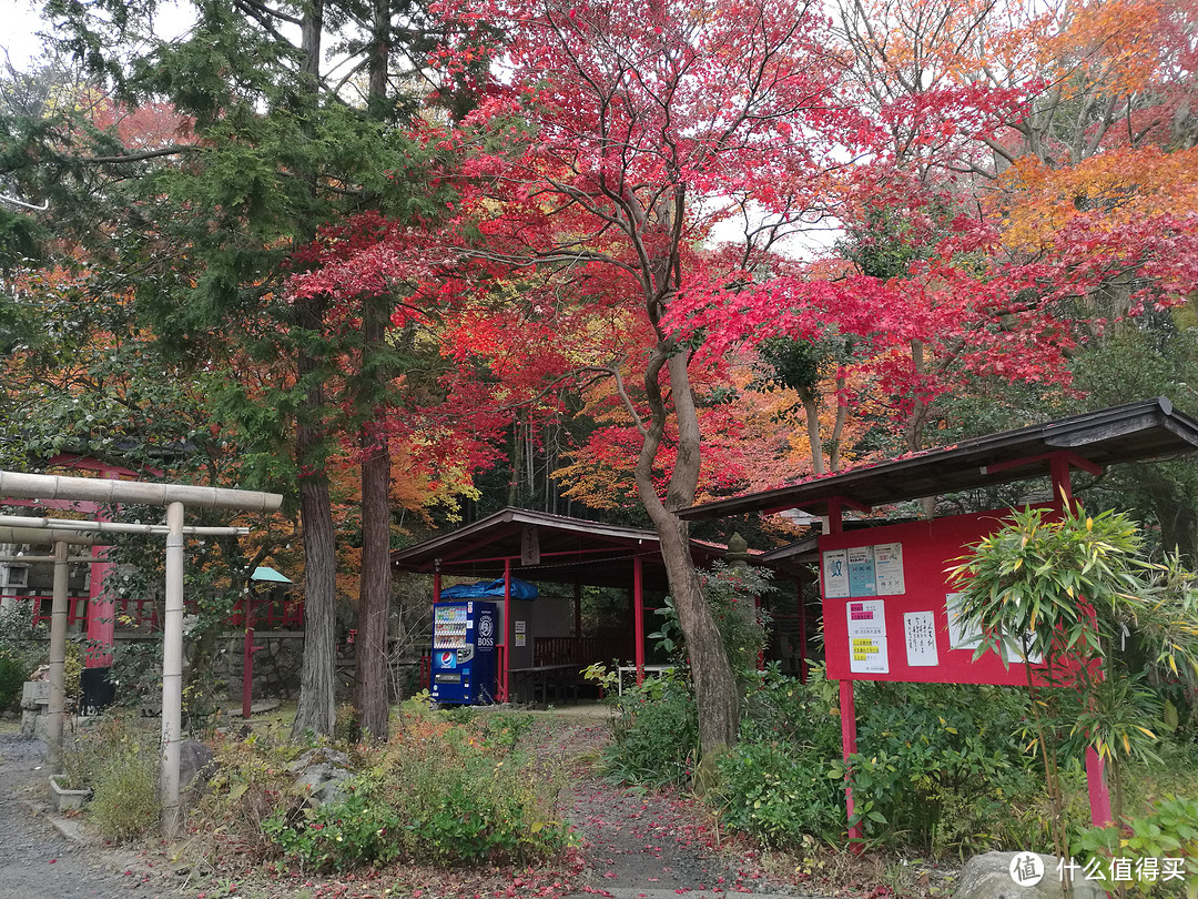 记录我的日本红叶之旅