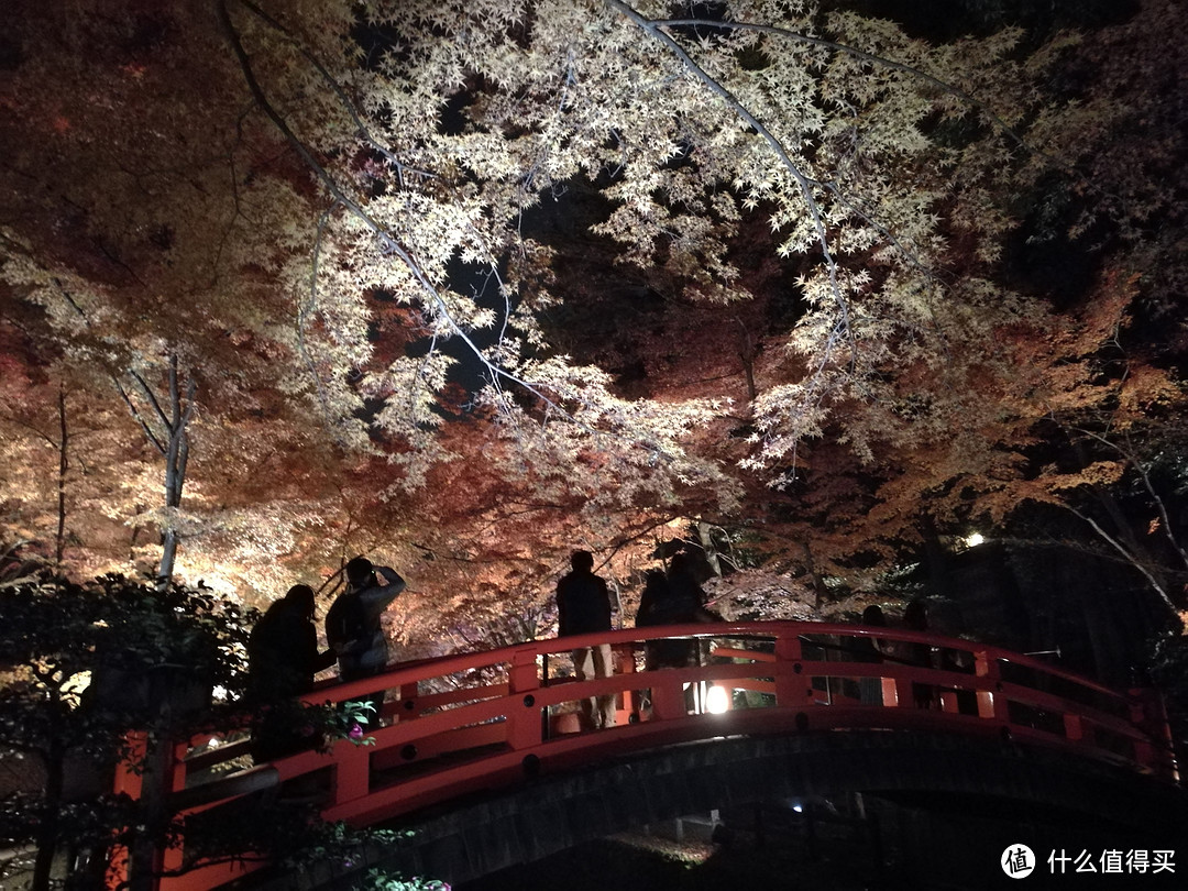 记录我的日本红叶之旅