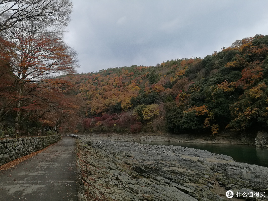 记录我的日本红叶之旅