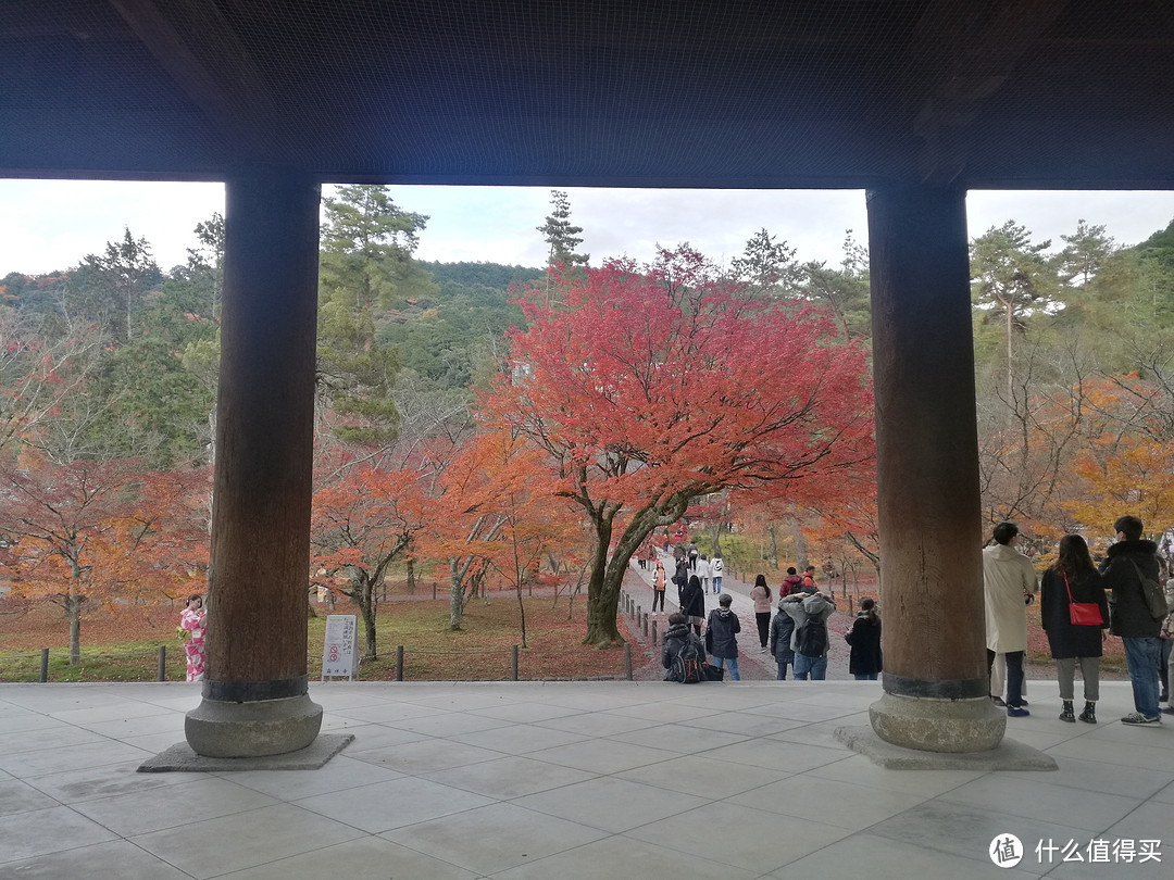 记录我的日本红叶之旅