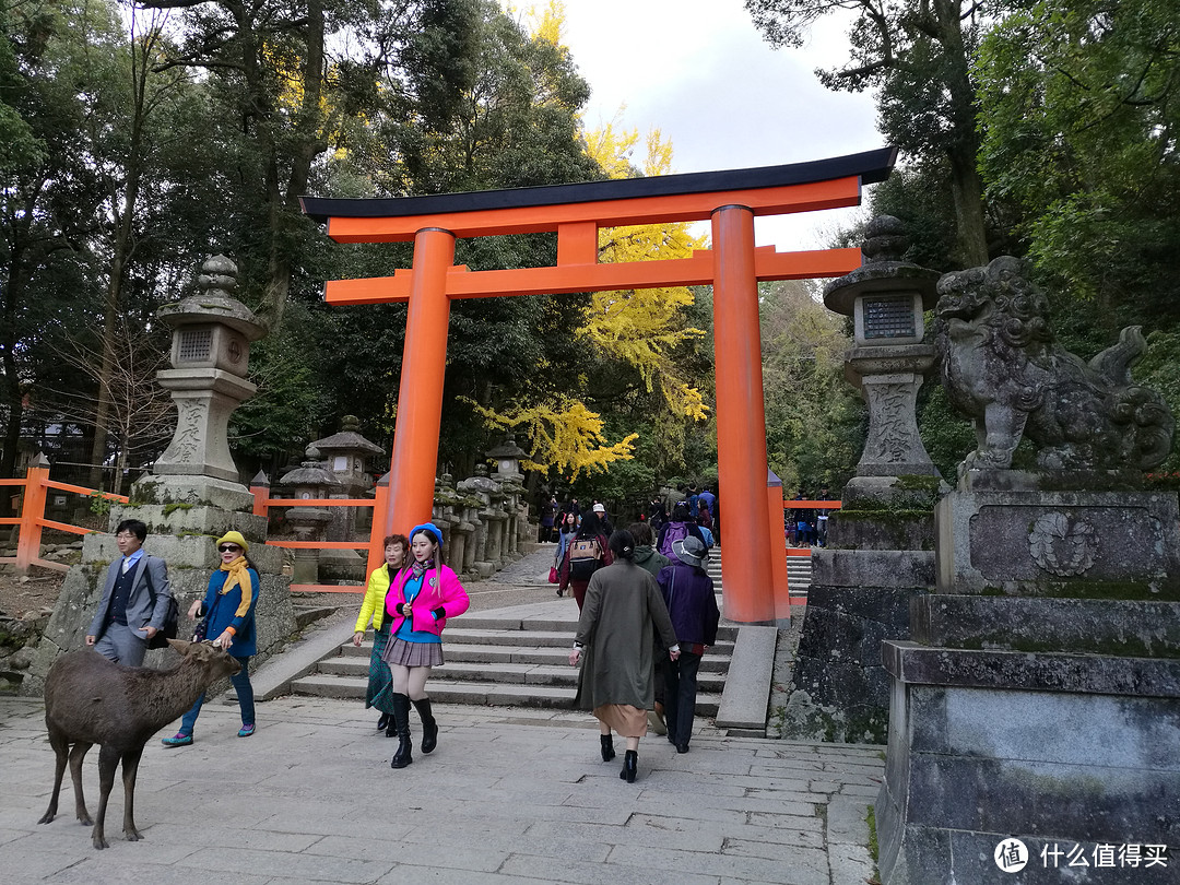 记录我的日本红叶之旅