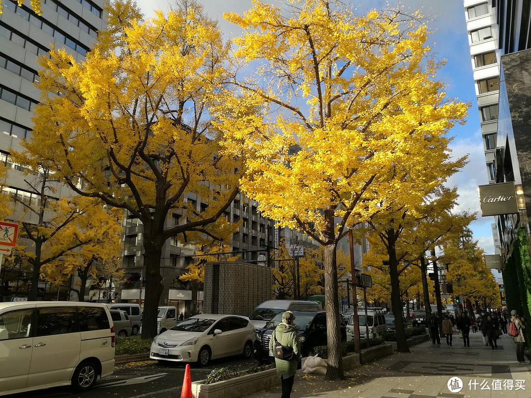 记录我的日本红叶之旅