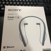 索尼 WI-H700 蓝牙耳机外观展示(充电接口|usb口|按钮|包装|配件)