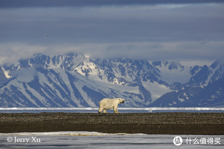关于北极自然旅行你所不知道的十个科普