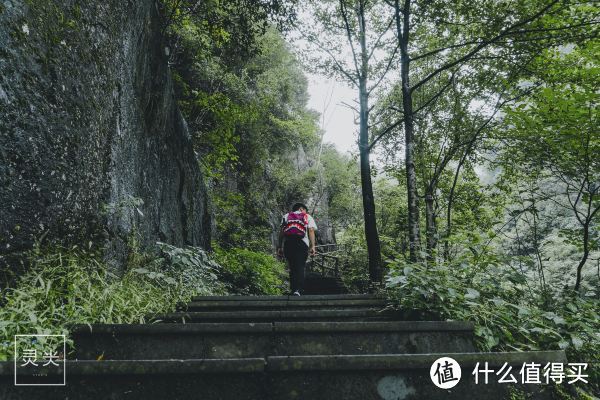 别去张家界了！160米华东最高观光电梯？看一眼就哆嗦！