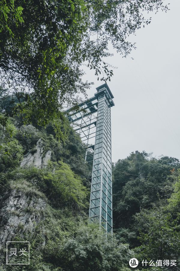别去张家界了！160米华东最高观光电梯？看一眼就哆嗦！