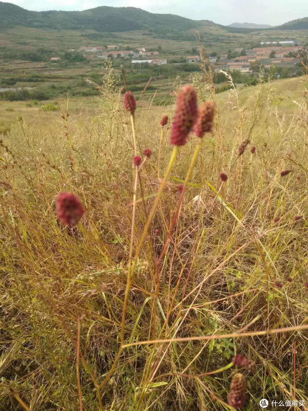 山下的村庄