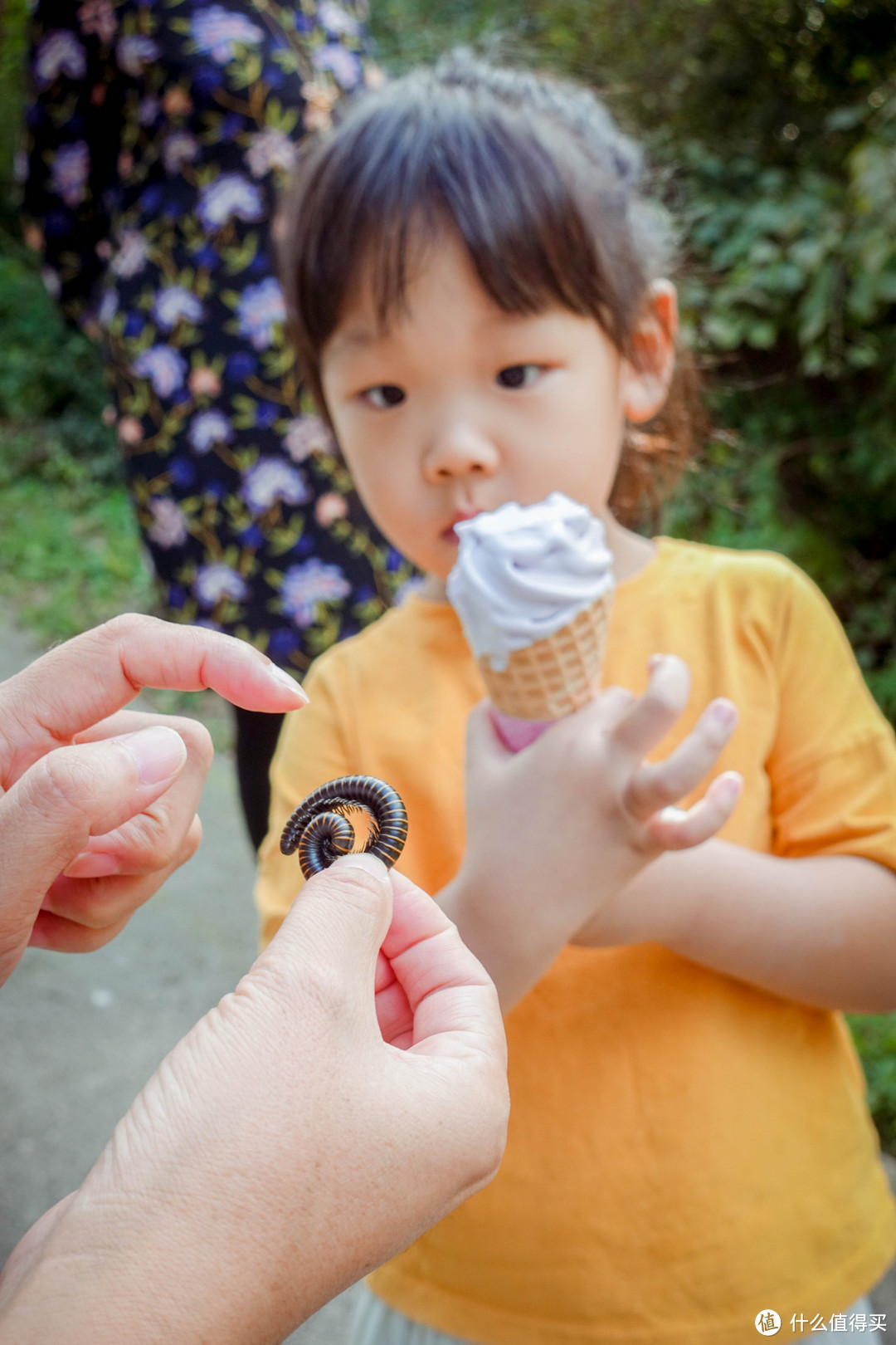 帝都民宿—带着孩子去童话树屋里当个开心的“小精灵”