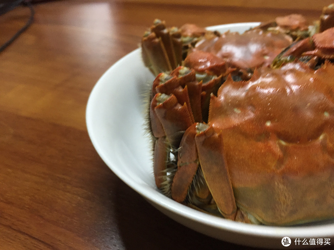 金秋品蟹膏——来自一千四百公里外的美味