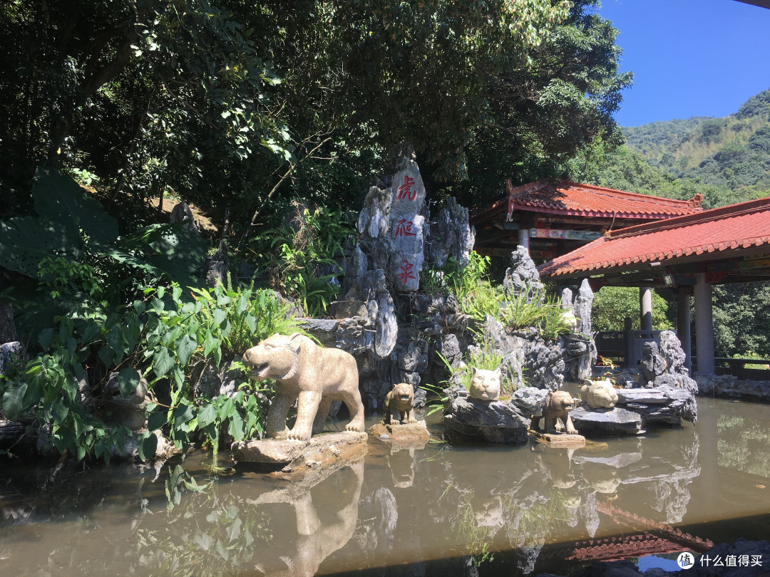虎爬泉好多小老虎~