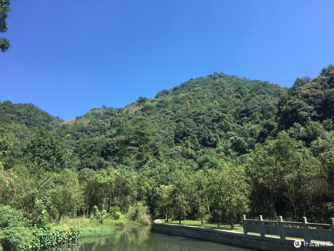 青山绿水