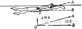 游泳技术怎么学？仰泳篇