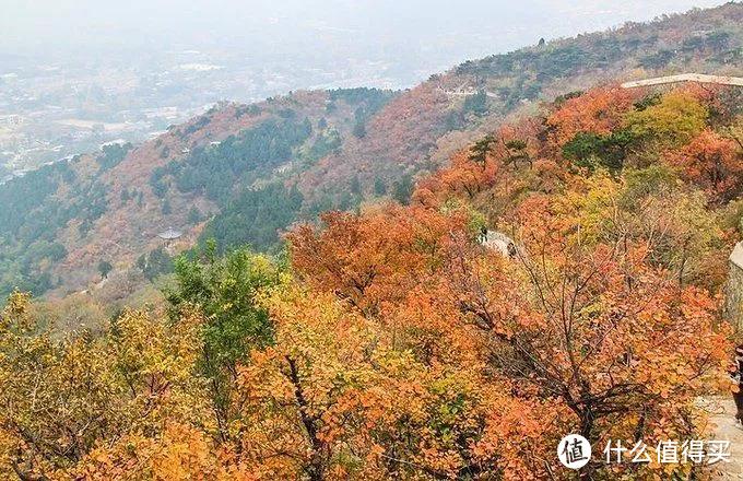 国内六大赏秋好去处，第二个还能坐热气球探索火山地貌！