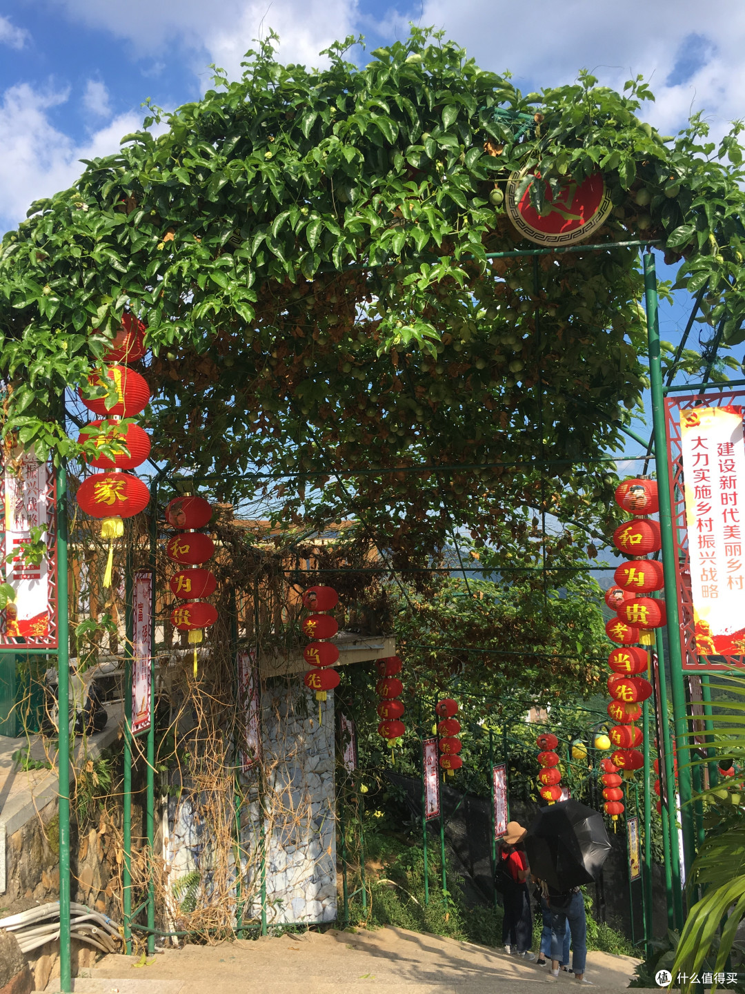 观景步道的起点,上面绿绿的是没有熟的百香果