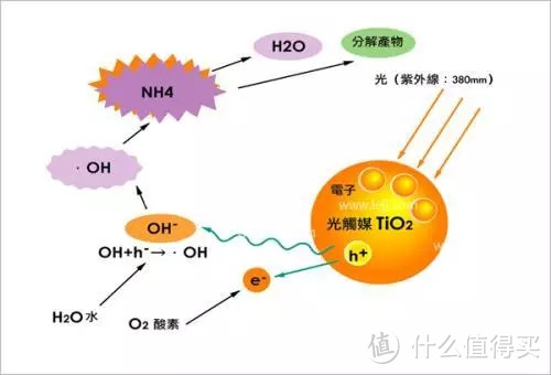 甲醛的致命危害，看完这篇，给你答案~