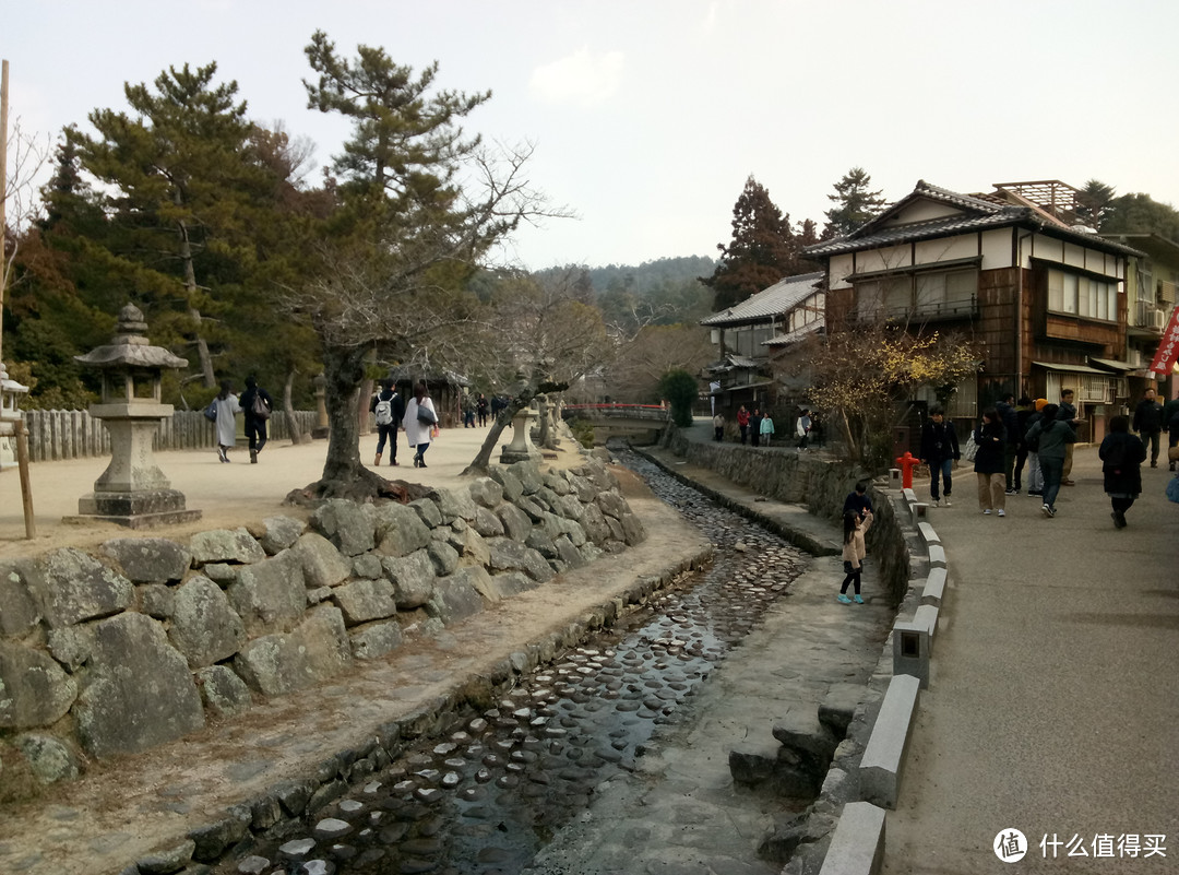 乘坐NOZOMI号新干线假装路过，短暂的广岛和廿日市宫岛之行