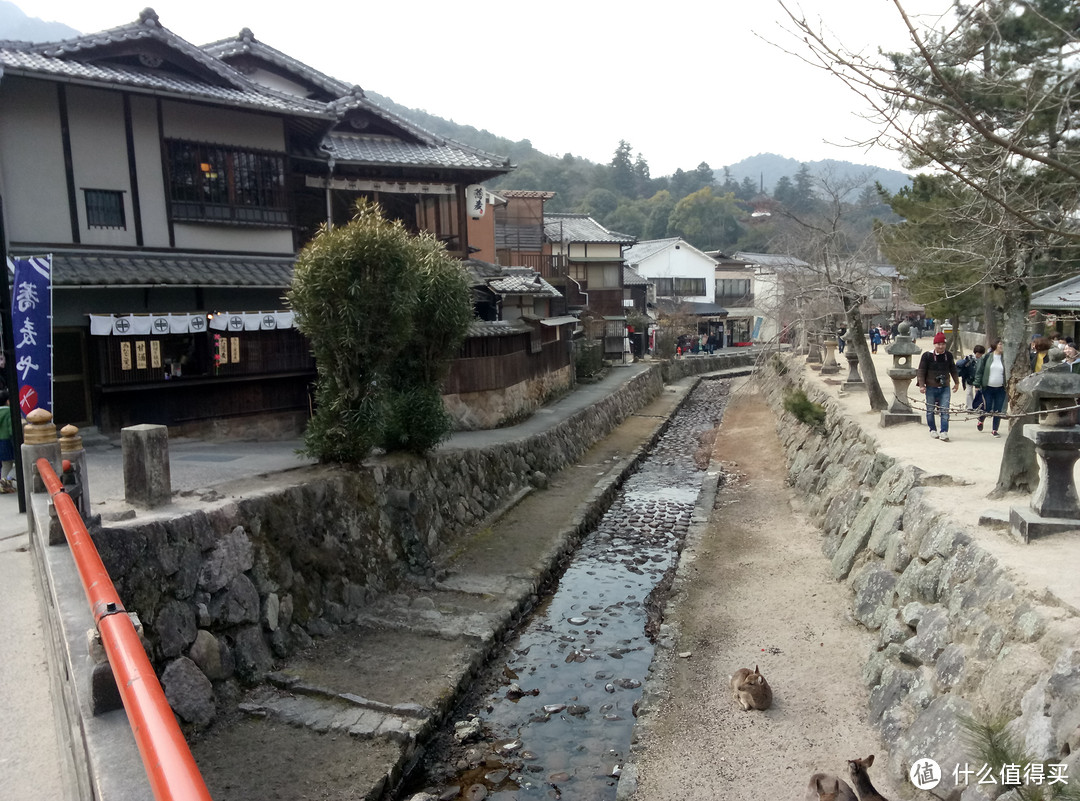 乘坐NOZOMI号新干线假装路过，短暂的广岛和廿日市宫岛之行