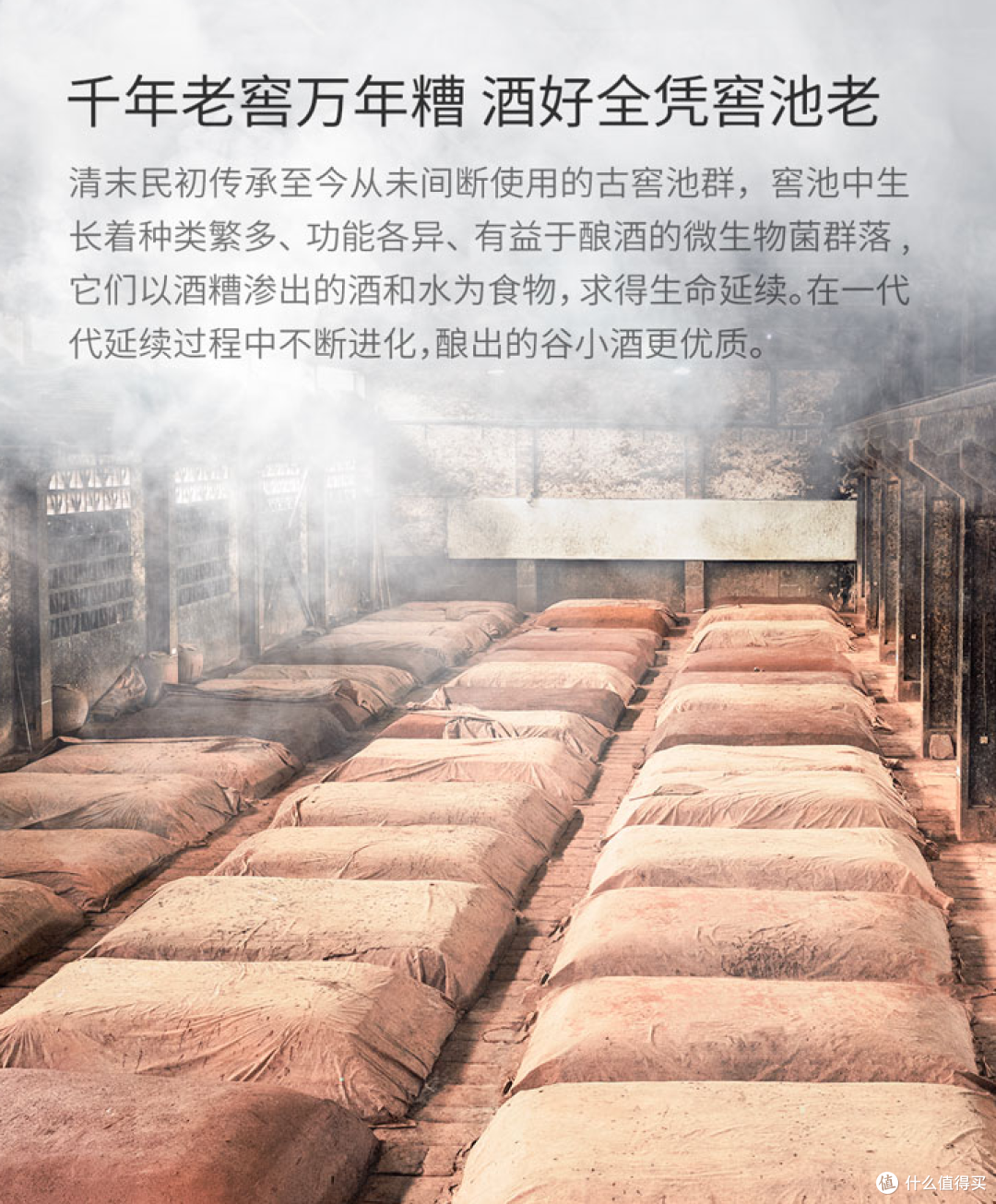 谷小酒趁年华,半醉半醒半浮生