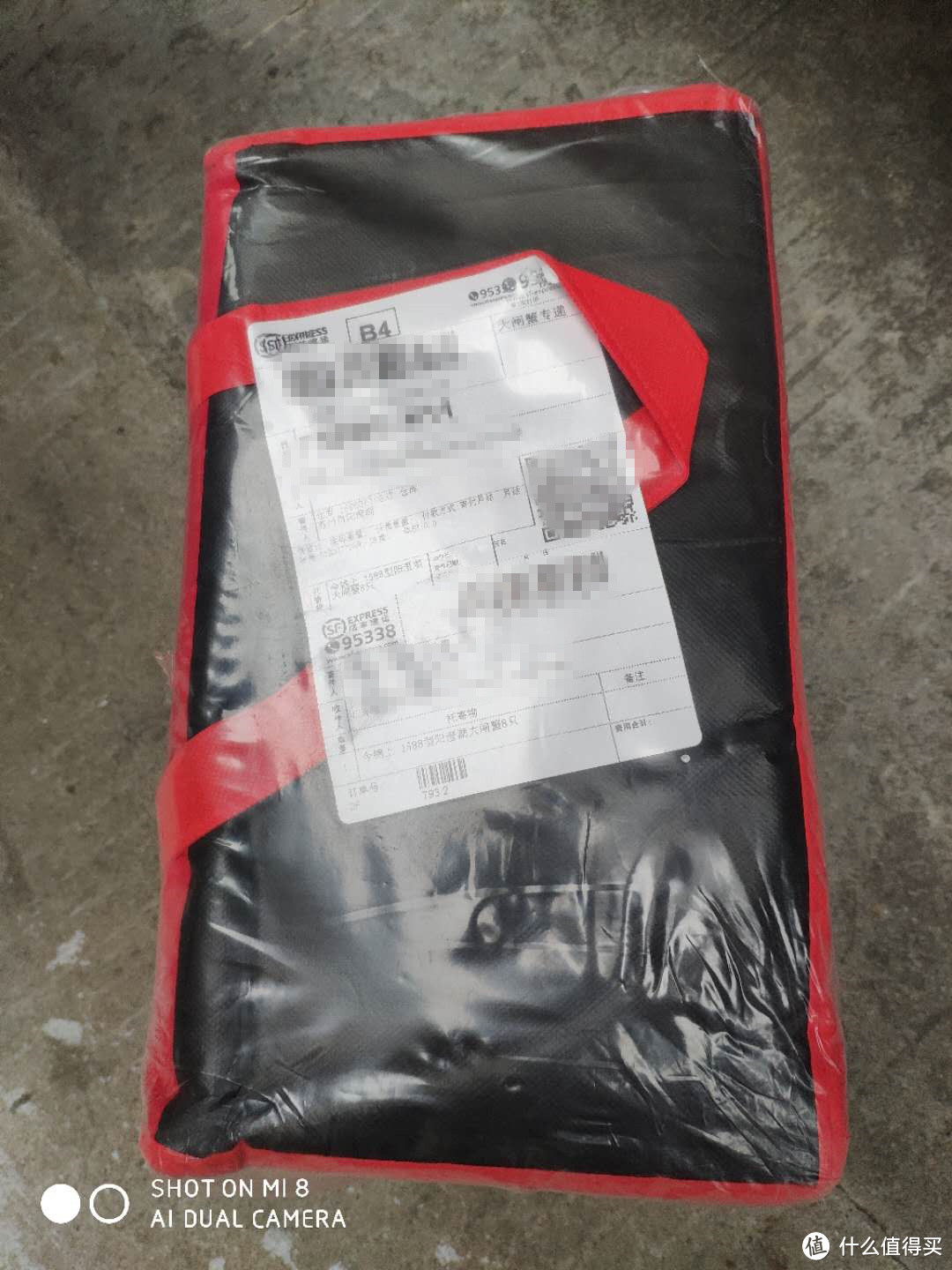 螯封嫩玉双双满,壳凸红脂块块香——品味今锦上阳澄湖大闸蟹