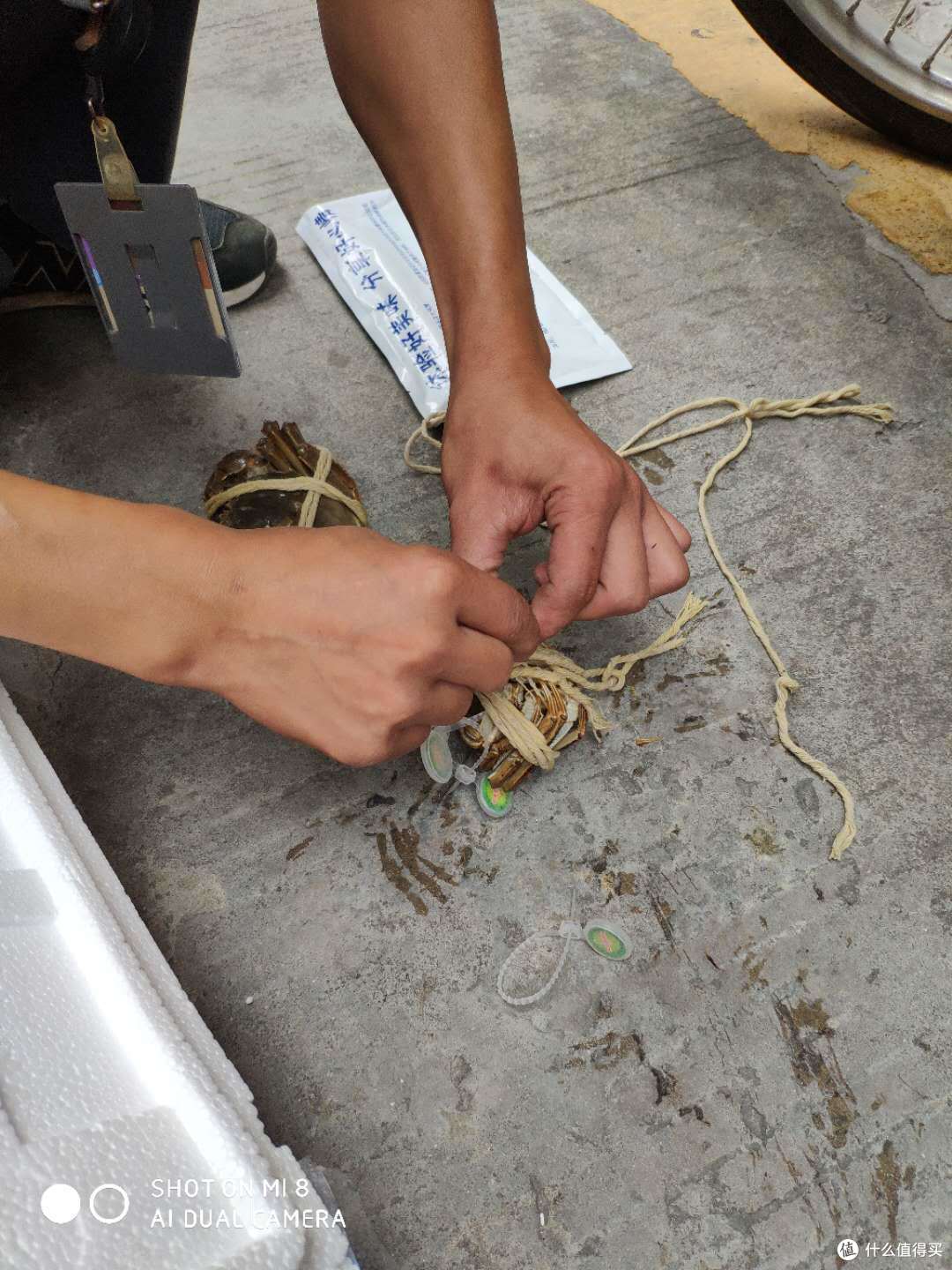 螯封嫩玉双双满,壳凸红脂块块香——品味今锦上阳澄湖大闸蟹