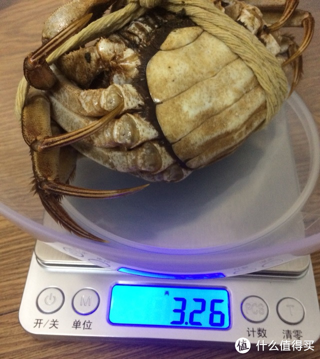 螯封嫩玉双双满,壳凸红脂块块香——品味今锦上阳澄湖大闸蟹