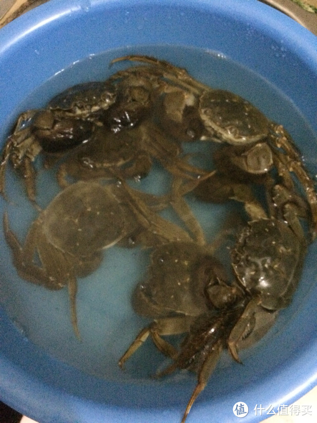 螯封嫩玉双双满,壳凸红脂块块香——品味今锦上阳澄湖大闸蟹