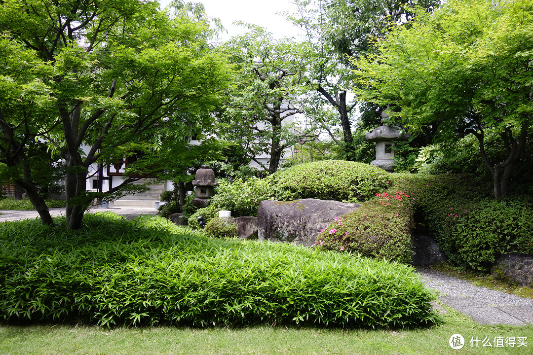 京都逛吃之旅，金阁寺、龙安寺、清水寺、平安神宫、二条城……经典景点进来看