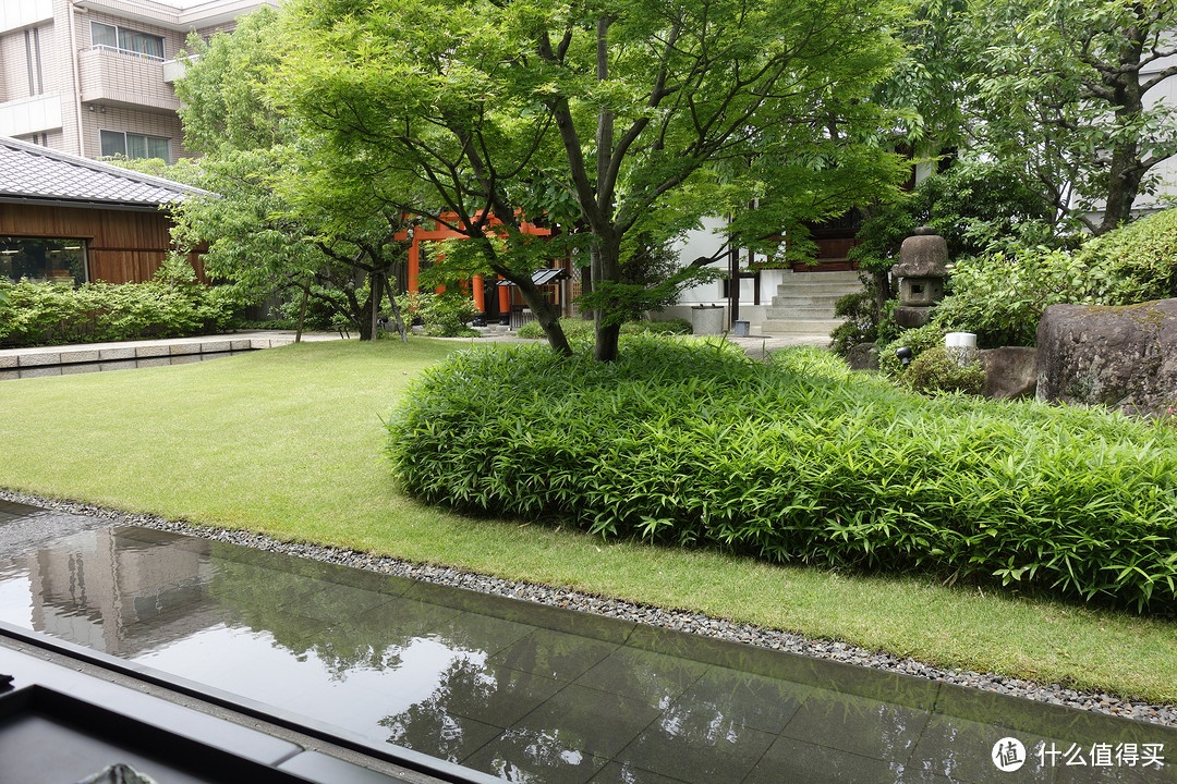 京都逛吃之旅，金阁寺、龙安寺、清水寺、平安神宫、二条城……经典景点进来看