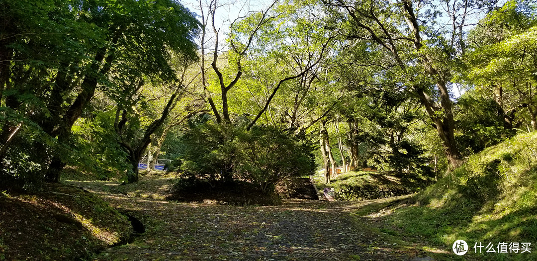 小白第一次出国霓虹国八日游：札幌-函馆-仙台-东京