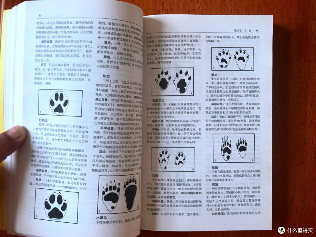 一个末日臆想症患者的求生圣经—《怀斯曼生存手册》