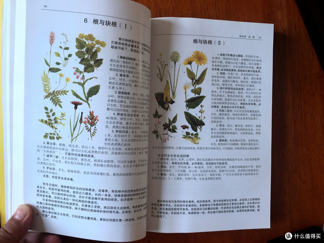 一个末日臆想症患者的求生圣经—《怀斯曼生存手册》