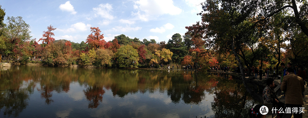 天平山红枫（全景）