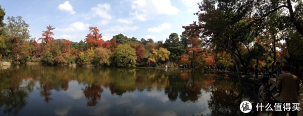 天平山红枫（全景）