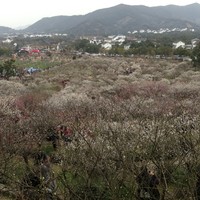 苹果 iPhone 5c 手机使用总结(内存|小屏|语音输入|游戏|摄影)