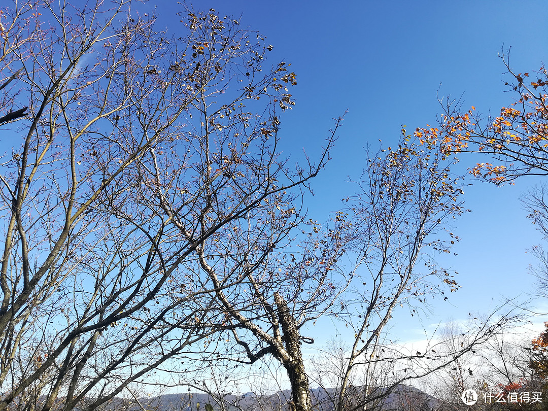 西安秦岭光头山一日游