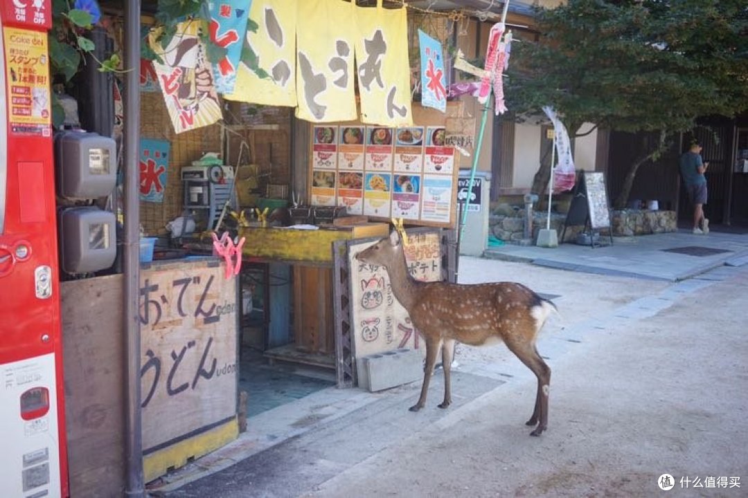 初秋广岛游