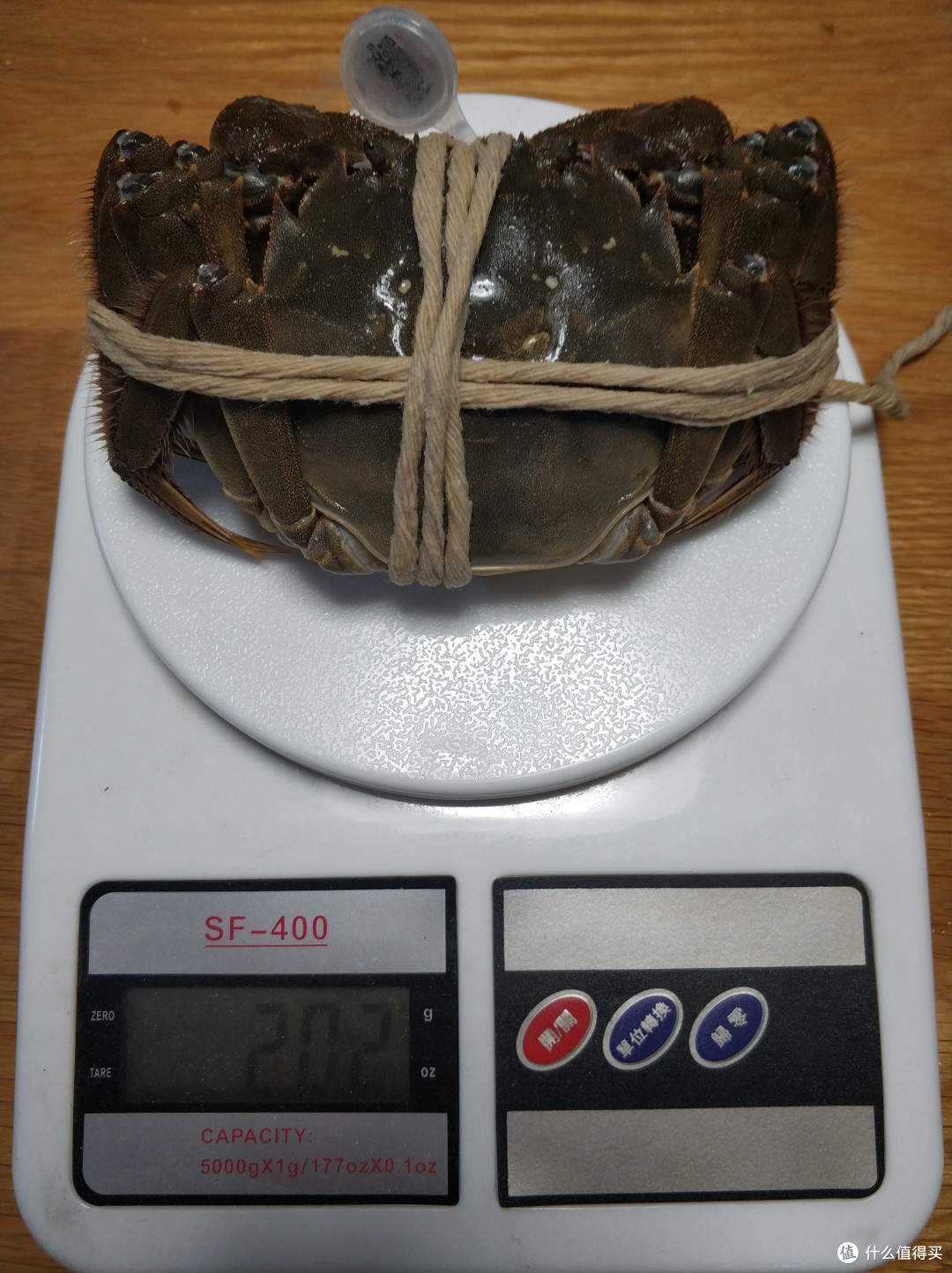 无蟹不过秋---品今锦上阳澄湖大闸蟹1588型