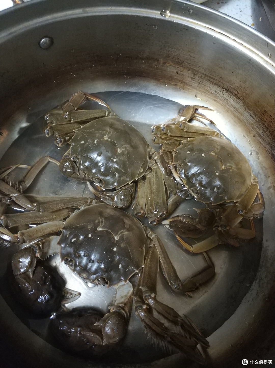 无蟹不过秋---品今锦上阳澄湖大闸蟹1588型
