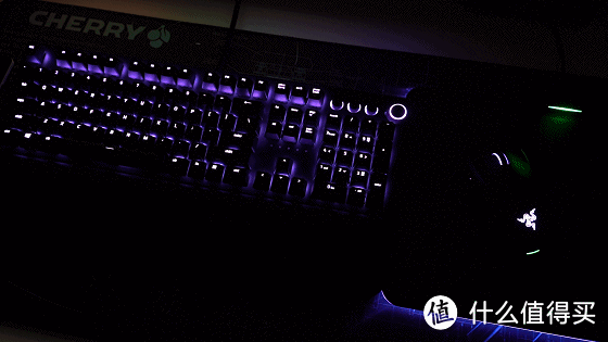 十指下的流光溢彩——黑寡妇蜘蛛精英版机械键盘体验