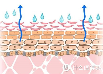 如何根据自己的皮肤状况选择护肤产品？