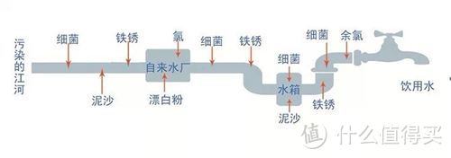 电器生活家丨90%的人都不知道 滤水壶的正确用法