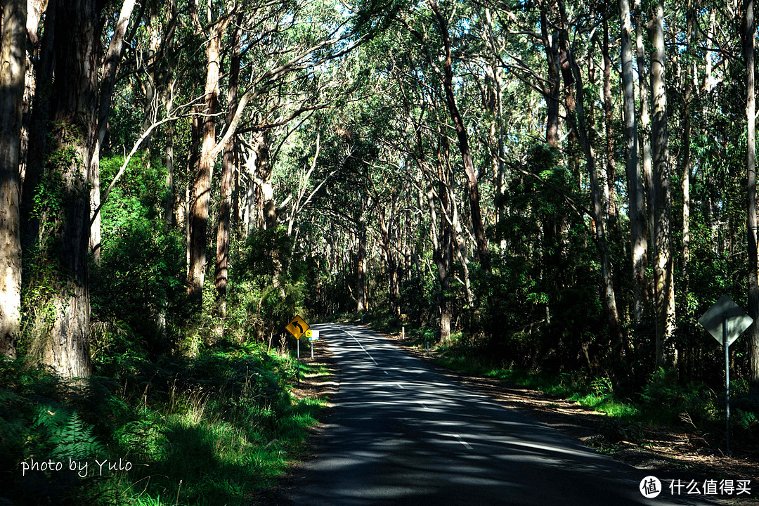 lighthouse Rd