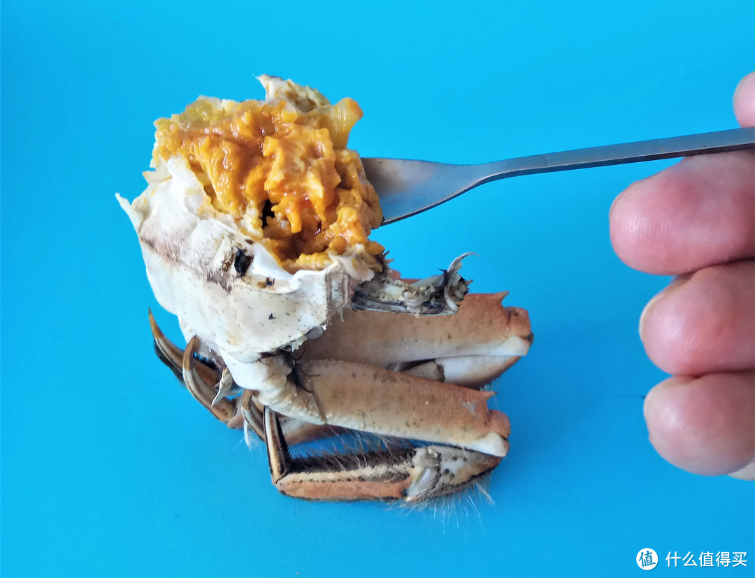 浓情“蟹”礼，领“鲜”一步——阳澄湖大闸蟹，今天你吃了吗？