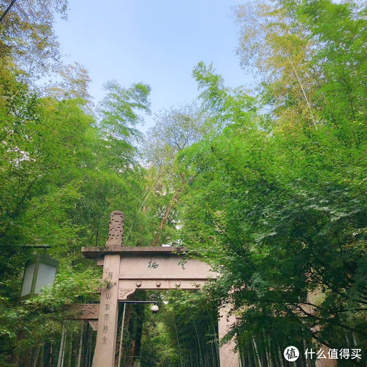 短腿鹿美食行—杭州(凡老头,知味观,胡庆余堂,莫卡多,新白鹿)