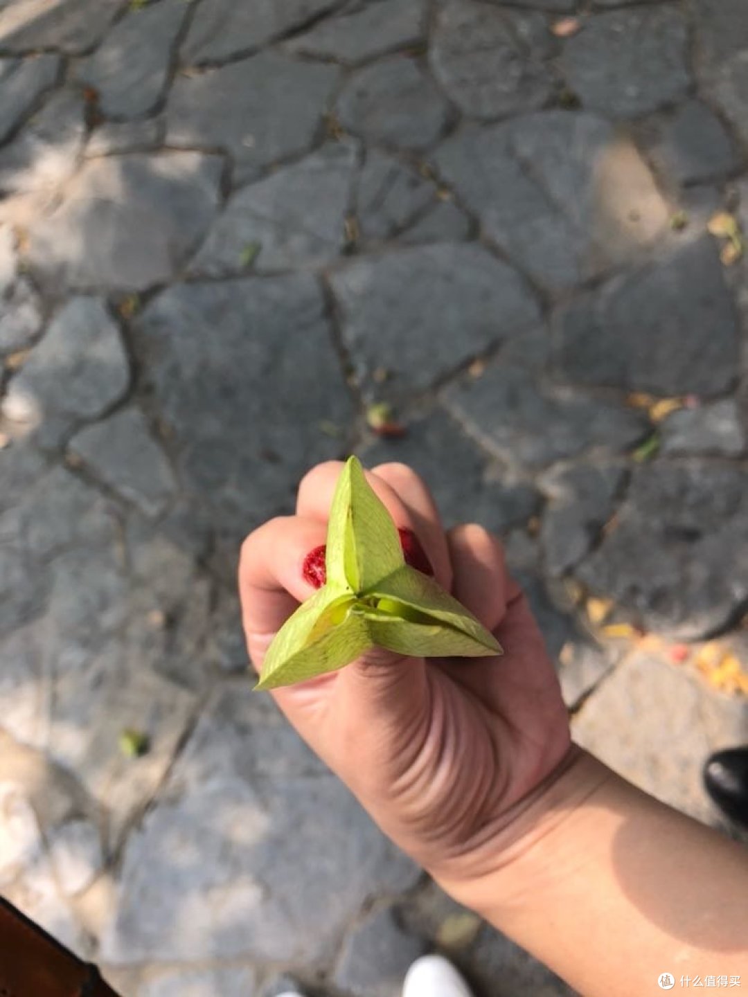 国庆—7天6晚—江浙沪包邮游记—苏州篇