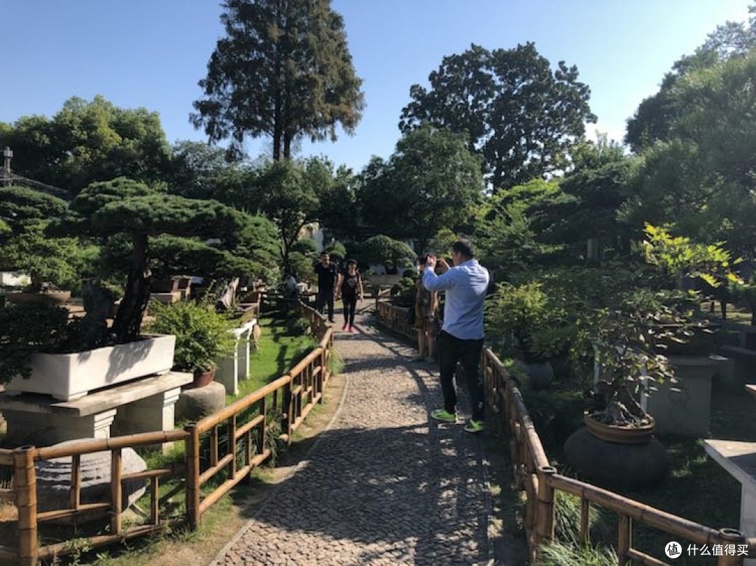 国庆—7天6晚—江浙沪包邮游记—苏州篇